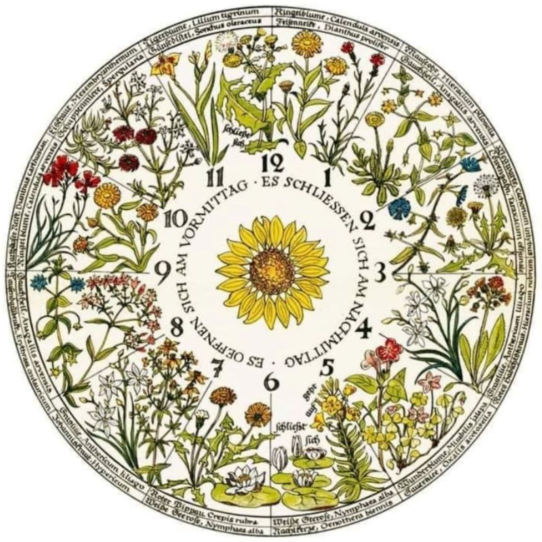 Reloj del gran libro